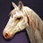 Стремительный рунный конь (3).png