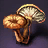 Крупный гриб.png